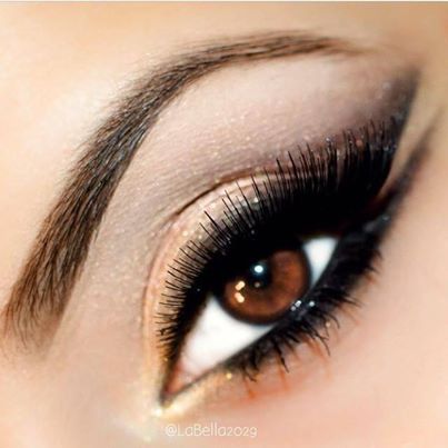 993474_636003743127653_616759624_n