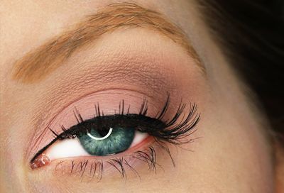 e5cea55c8515e12e10b7329814f4f33e