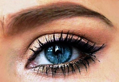 faa8b9f49bc43d379a57cfa8a3e4add5