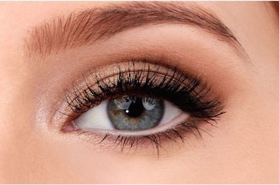 451dd34e5f377ac02ade6b20c012c8a3